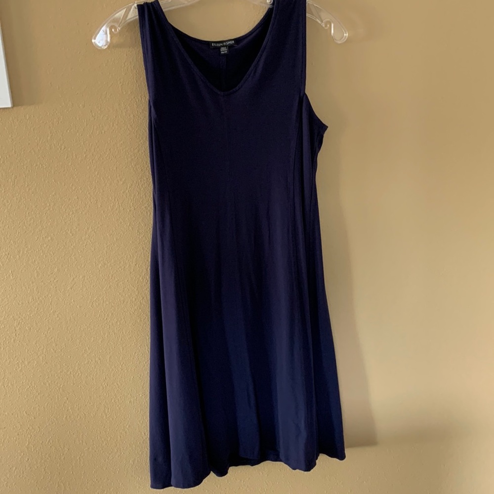Blue Eileen Fisher dress